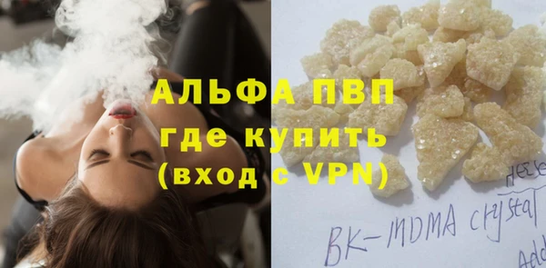 эйфоретик Аркадак