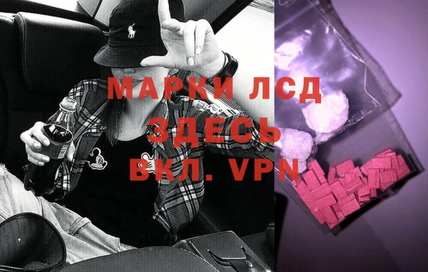 эйфоретик Аркадак