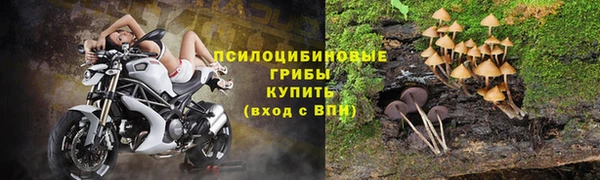 эйфоретик Аркадак