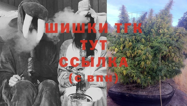 эйфоретик Аркадак